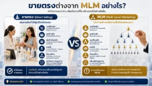 อินโฟกราฟิกเปรียบเทียบความแตกต่างระหว่างขายตรงและ MLM พร้อมโครงสร้างรายได้ ระบบทีม และรูปแบบธุรกิจแบบเครือข่าย